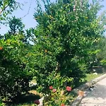 Holiday home House Solis Banjol