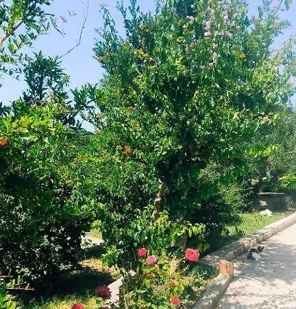 Nyaraló House Solis Banjol