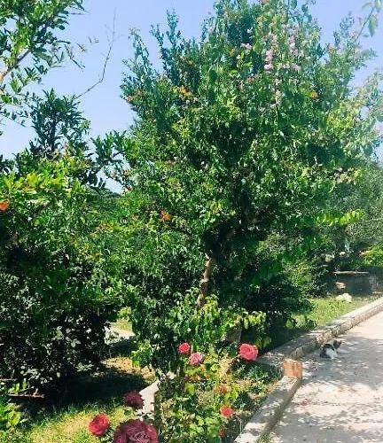 Nyaraló House Solis Banjol